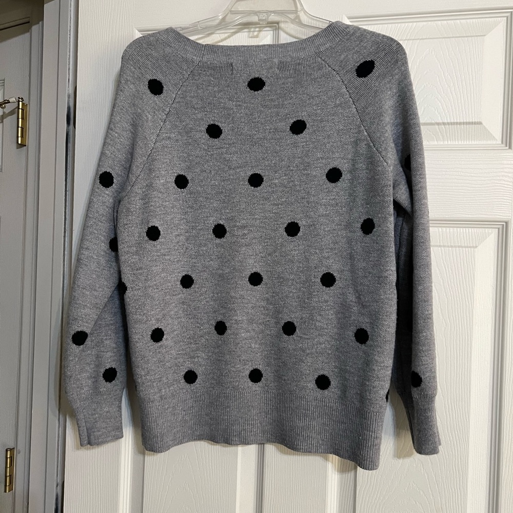 Grey polka dot sweater.